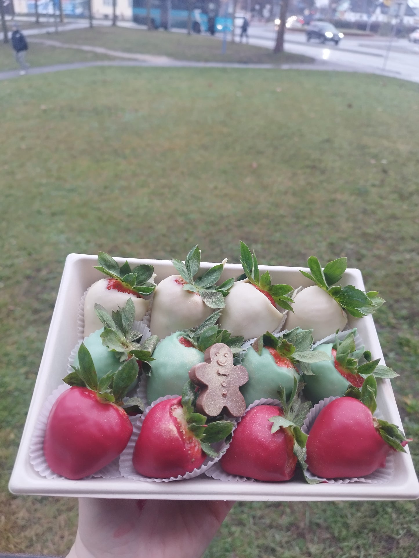 Kazetka menších jahodiek 🍓 s perníčkom čokoládovým