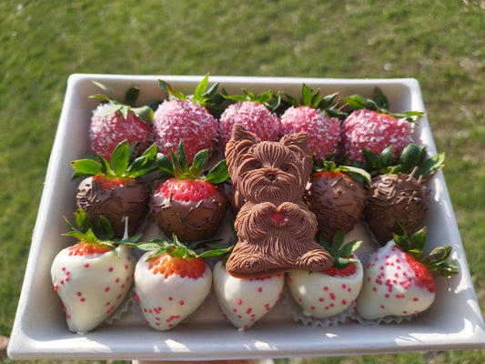KAZETKA menších jahodiek 🍓 s milým odliatkom čokoládovým Yorkshire 🐶